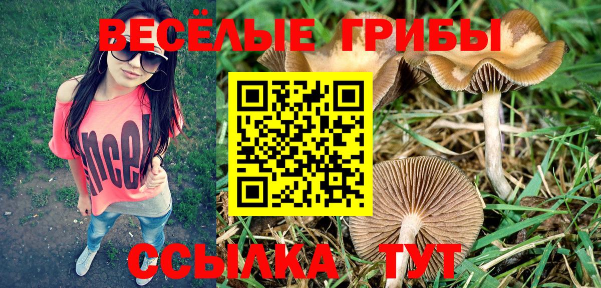 Междуреченск  Галлюциногенные грибы мухоморы  Вход с VPN 